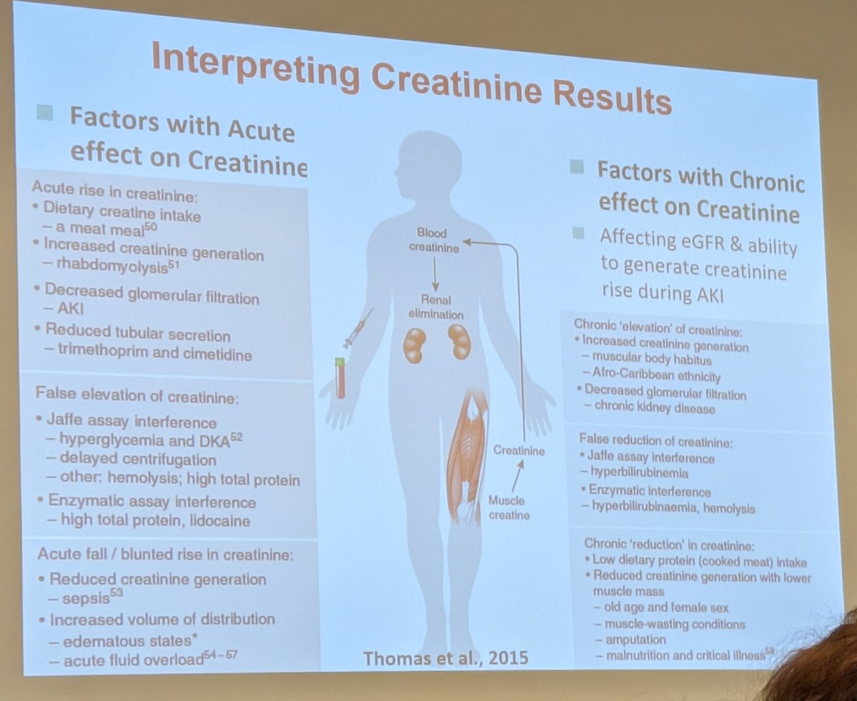 Multiple factors can impact serum creatinine, particularly in the acute setting. #KidneyCon
