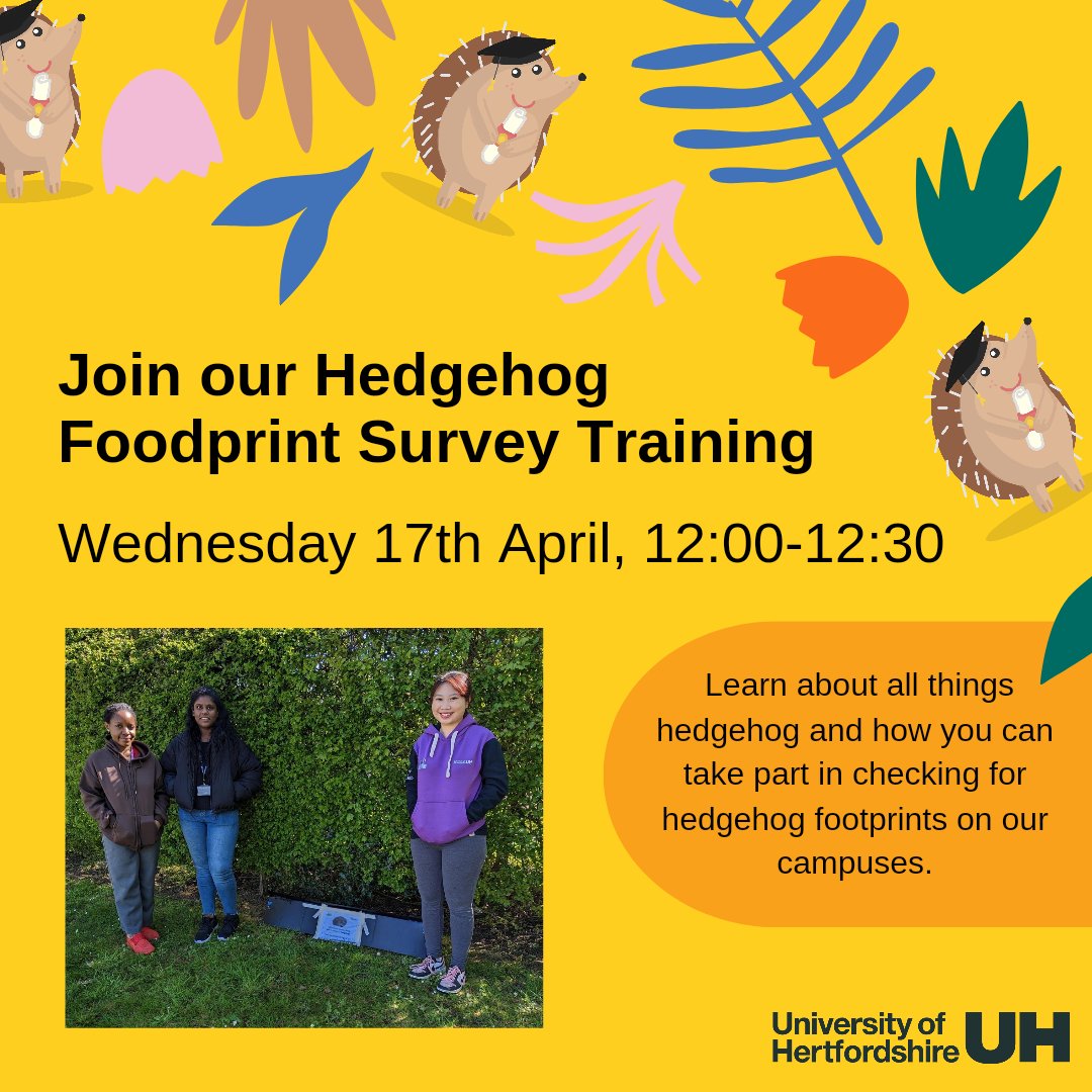 Do you want to help identify whether there are any hedgehogs on our campuses? 🦔 @UniofHerts staff and student volunteers needed for our simple surveys between 23rd and 28th April 💚 Further details and sign up: forms.office.com/e/LSMQCF1dFw @HogFriendly #hedgehogfriendlyherts