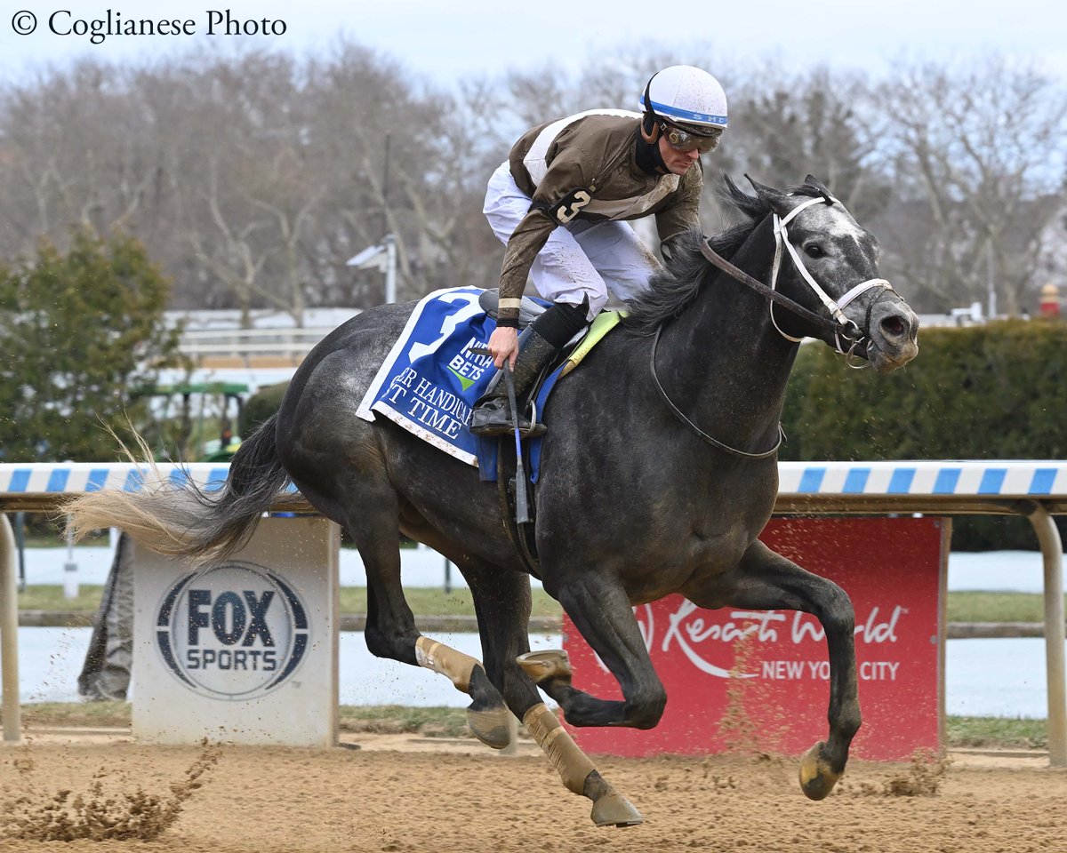 #MDBred Post Time continued his sensational season on Saturday with a victory in the Carter-G2 at Aqueduct! He overcame a wide trip to get up and win by a neck boosting his earnings to $582,910! @sheldonrussell1 rode for owner Hillwood Stable LLC and trainer @btrracingstable.