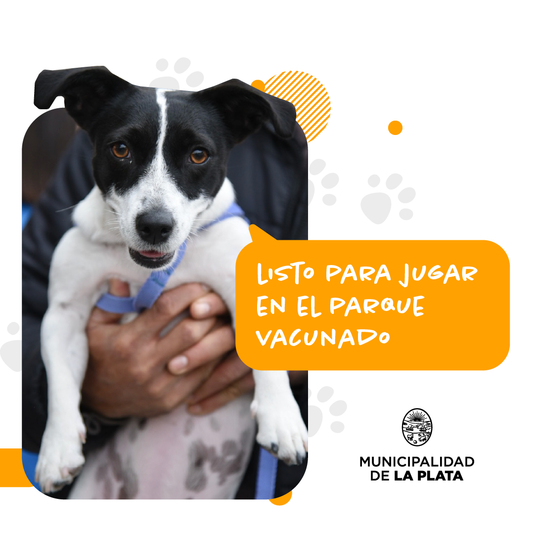 LaPlataMLP's tweet photo. ¿Necesitás darle la vacuna antirrábica o desparasitar a tu perro o gato? 🐕 🐈 Mirá en dónde vamos a estar esta semana. Compartilo con tus amigos. 📲 https://t.co/H8q9YhoOYP