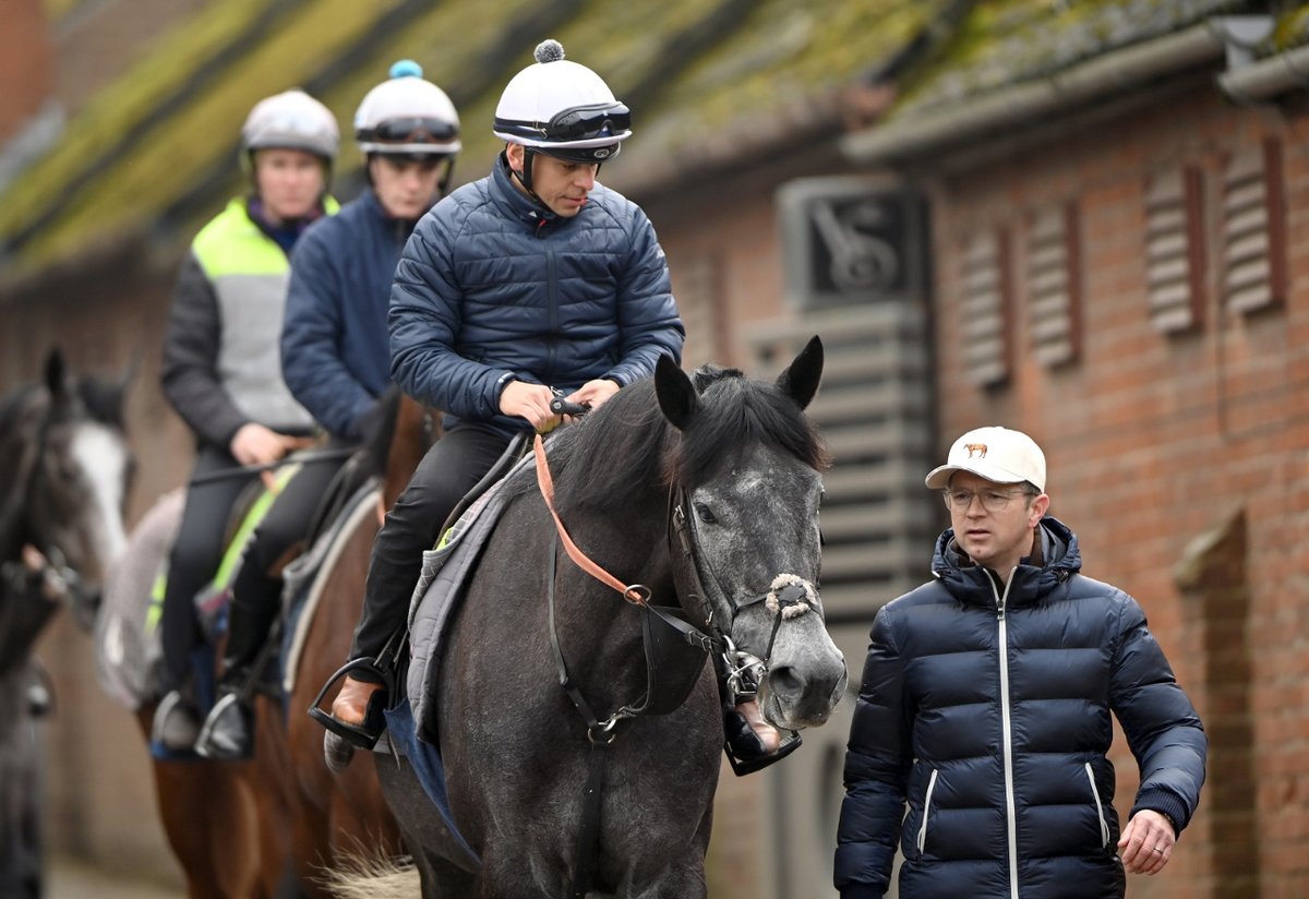 “I have a fear of failure but that drives me on” It's an exciting time for Flat aficionados with the upcoming Classic Trials. We speak to Roger Varian about his powerful stable of horses for 2024 - spearheaded by King of Steel theownerbreeder.com/stories/roger-…