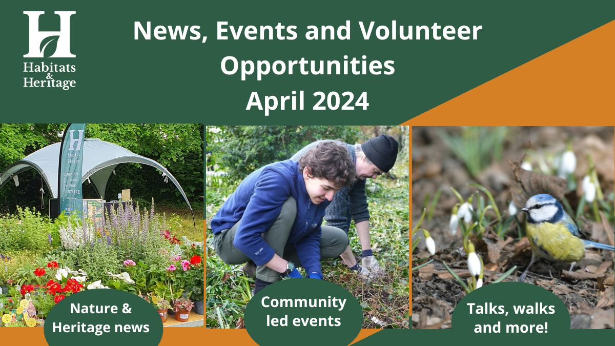 Our April newsletter opens with a warm introductory message from our CEO followed by exciting updates and ways to engage with us, plus a variety of nature activities led by community groups in Richmond, Hounslow neighboring boroughs.🌳 Check it out! bit.ly/43Oj8GC