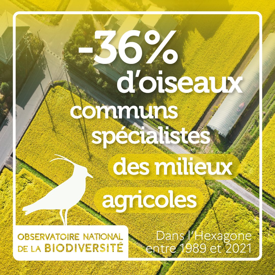 OFBiodiversite tweet picture