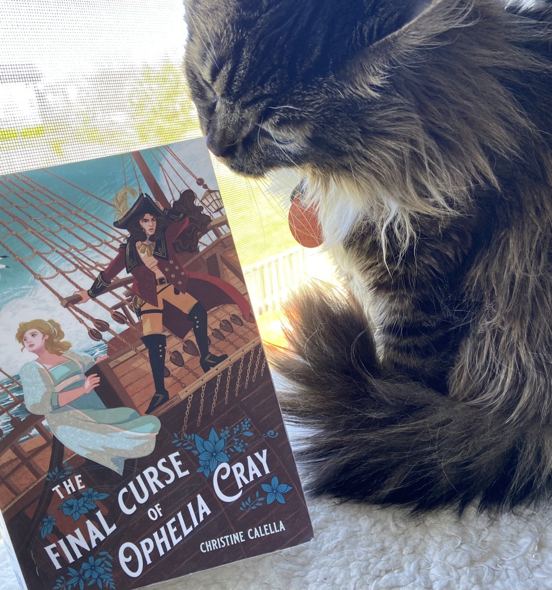 There’s an old superstition that cats onboard ships could predict the weather- whether that's got any merit, Poppy urges you all the check out THE FINAL CURSE OF OPHELIA CRAY! This swashbuckling YA fantasy adventure about the bonds of sisters is sure to captivate you! @ct_calella