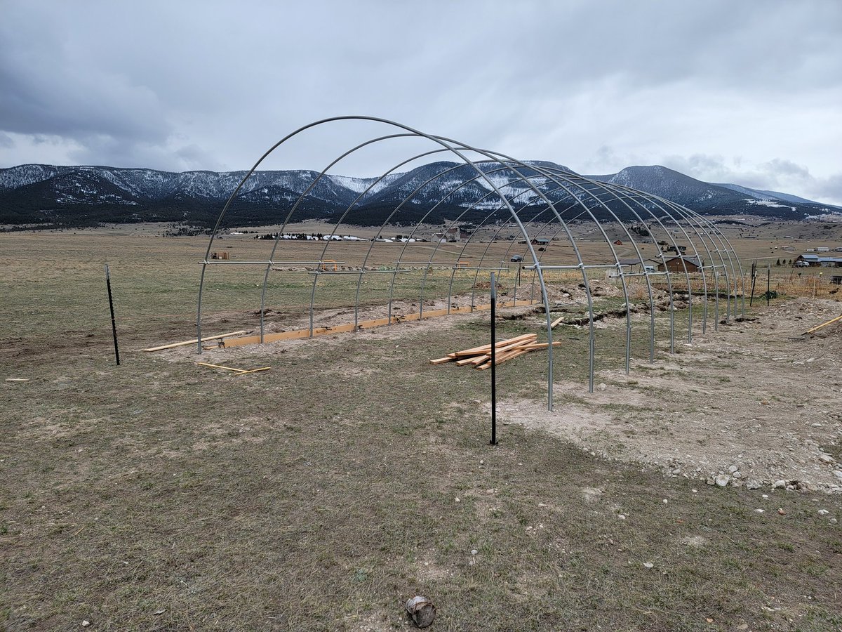 GreenDuckFarms's tweet photo. Had a lot going on this weekend. Managed to get all pur hoops bent, and in place.
Threw some support bars on half randomly to keep the wind from destroying it before we get back to it.
#homestead #bootstrapfarmer https://t.co/m6hQFfcSn8