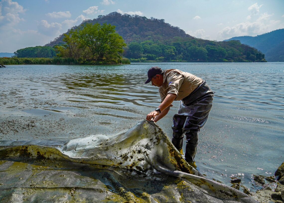 #Nacionales | Declaran estado de emergencia ambiental en lago de Coatepeque .
#DLP #ElSalvador #LagoDeCoatepeque
⬇️ 
lc.cx/93-gX9