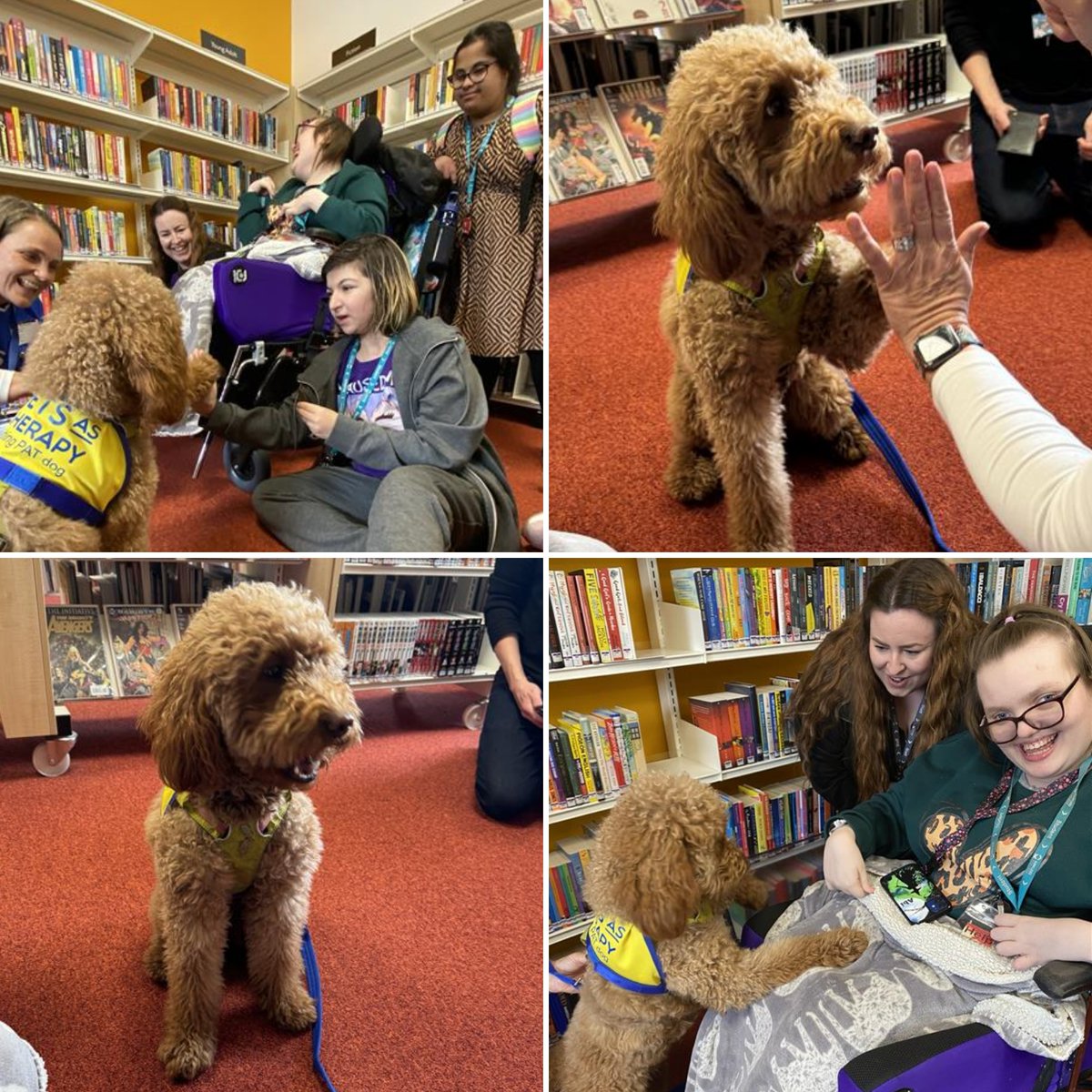 Today we welcomed back @PetsAsTherapyUK for the start of our weekly visits through the Summer term. Our first visitors were Kirsty and Ivy. Ivy entertained our students with high fives and was rewarded with lot's of strokes, cuddles and even a story🐶❤️🐶