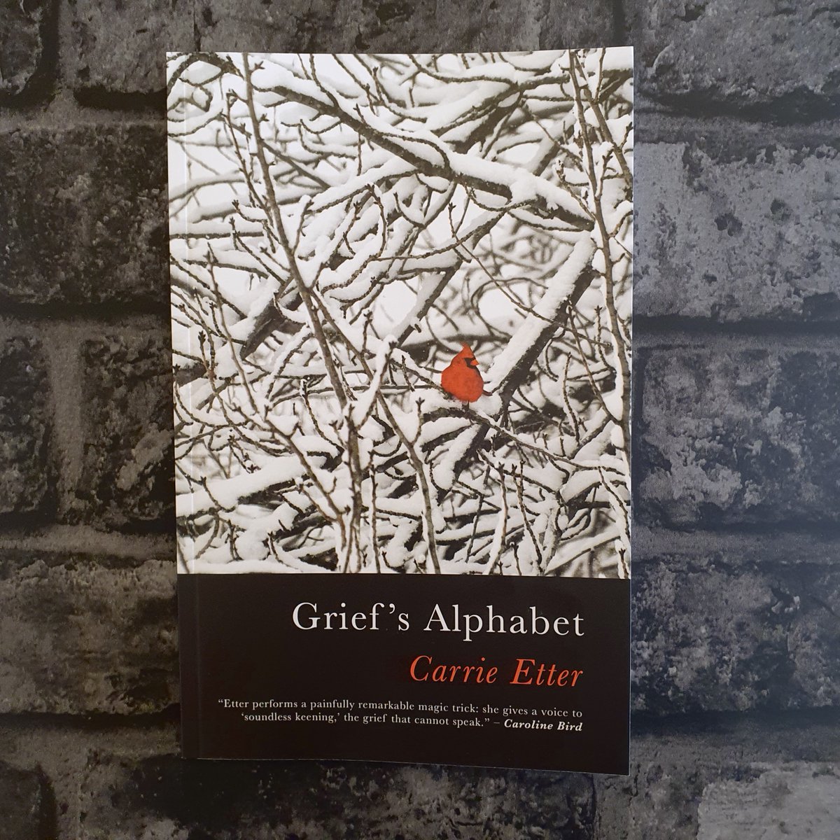 Happy Publication Day to @Carrie_Etter whose new collection ‘Grief’s Alphabet’ is published today! This raw yet deft exploration of family, love and loss is available now serenbooks.com/book/griefs-al….