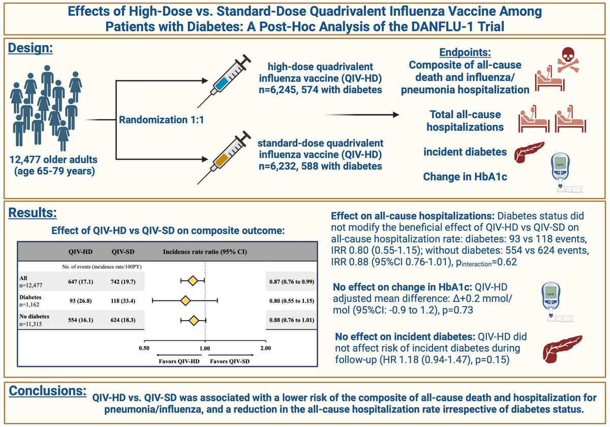 Excited to present our diabetes analysis from DANFLU-1 💉 at N=12477 1:1 to High-dose or standard flu vacc 💉, 9.3% with DM High-dose was assoc. with ⬇️ all-cause death & pneumonia/fæu hosp. 🤒🏥 Simpub in DOM: pubmed.ncbi.nlm.nih.gov/38586966/ @TorBiering @niklasdj1 @CTCPR_