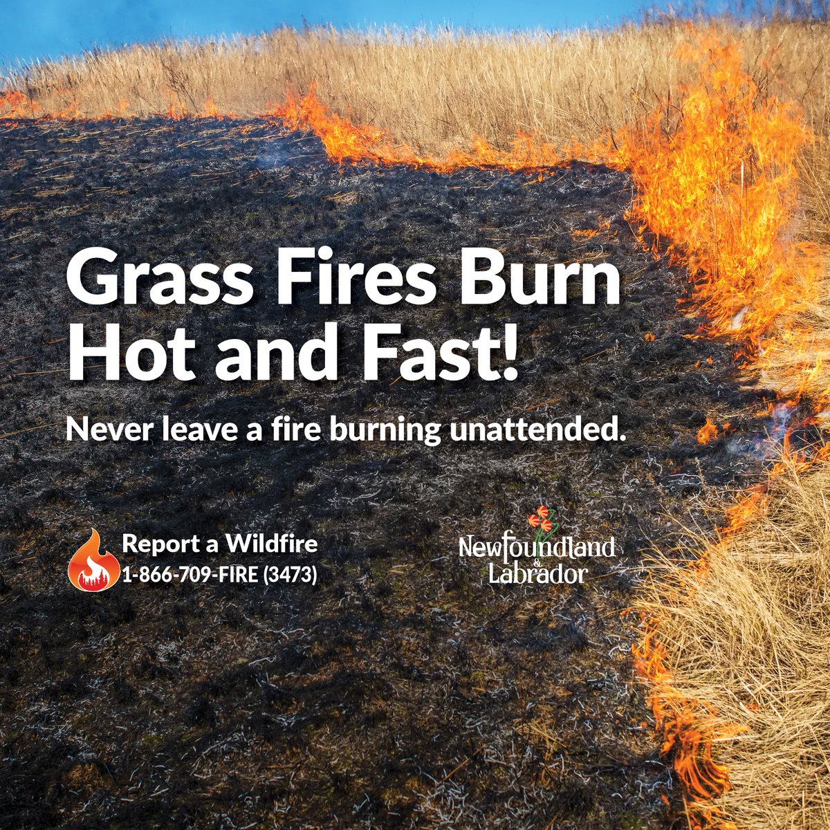 Grass fires can quickly get out of control and create a serious safety risk. Please use caution when setting outdoor fires. To report a wildfire call: 1-866-709-3473 (FIRE). #IAmFireSmart #nlwx #GovNL