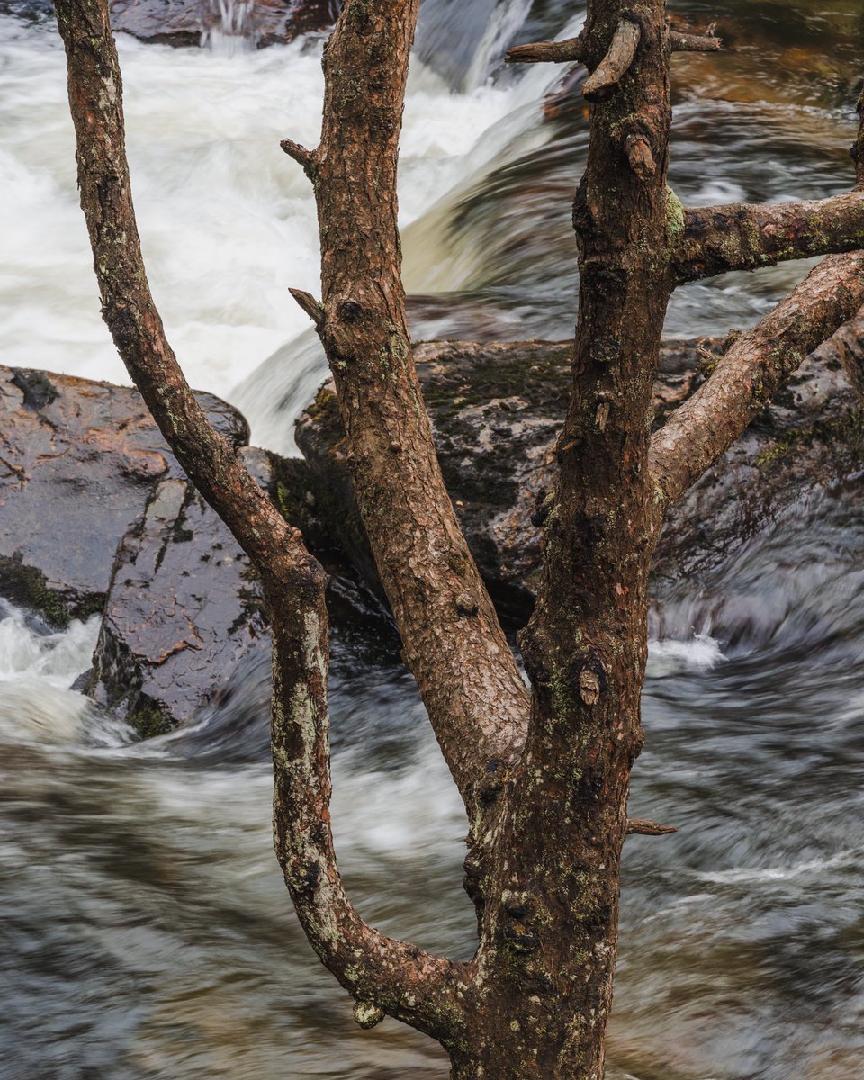 Chris Harvey tweet media