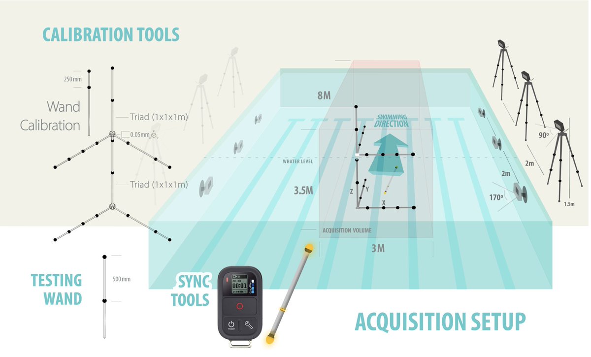 😃New article published in J Biomech!

"Simultaneous in-air and underwater 3D kinematic analysis of swimmers: Feasibility and reliability of action sport cameras", by Bernardina et al.

sciencedirect.com/science/articl…

#journalofbiomechanics