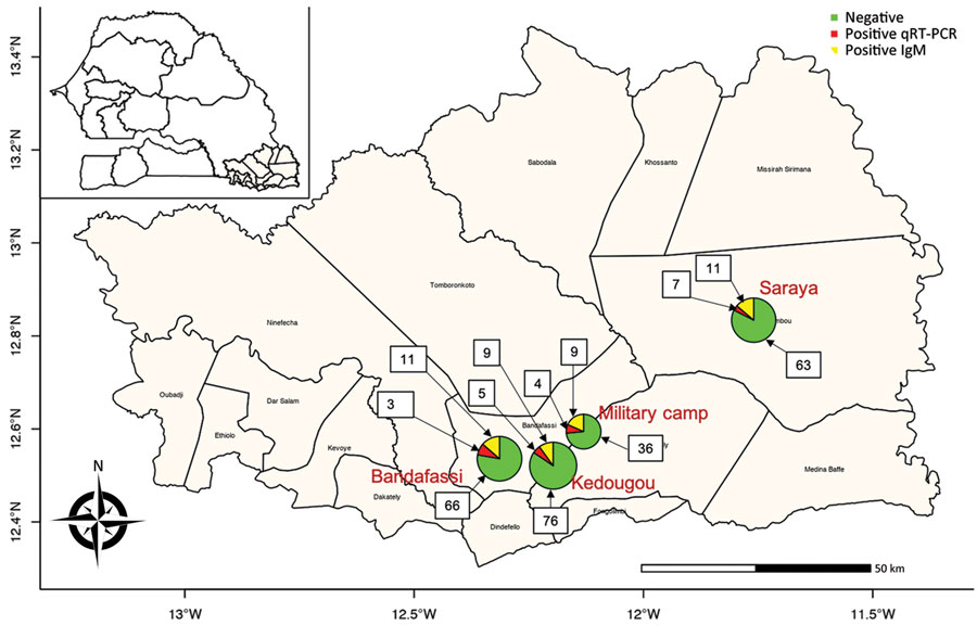 In 2020, a sylvatic #dengue virus serotype 2 infection outbreak resulted in 59 confirmed dengue cases in Kedougou, Senegal. Learn more in this April 2024 EID journal article: bit.ly/3J793v7 (Authors: Idrissa Dieng, et al.) @IdrissaDieng18