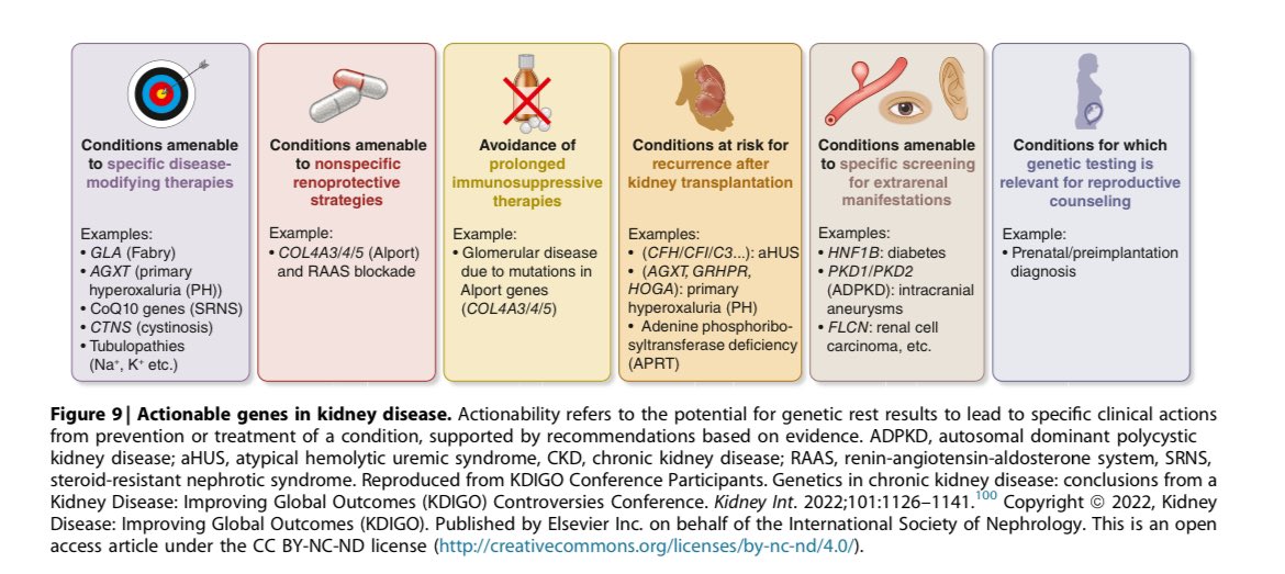 🧬🧬 Genes in kidney disease

kdigo.org/wp-content/upl…

@goKDIGO 

✅Disease for which specific therapy available-Fabry/ Primary Hyperoxaluria/Co Q mutation/Cystinosis