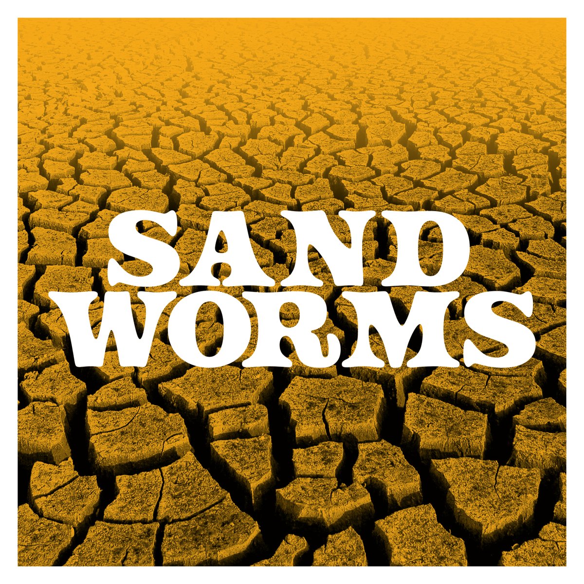 We’re celebrating 40 years since @giantsand first emerged from the Arizona wasteland with a series of covers by new generation of acts and today is @waterfromyreyes turn with their take on ‘Warm Storm’ from 1991’s ‘Ramp’. Listen here: fire-records.lnk.to/SandWormsIN