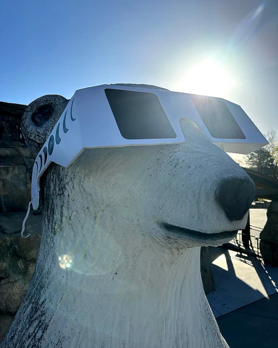 It’s the day of the solar eclipse! 😎 If you’re at the Zoo today, be sure to take advantage of our paw-sitively awesome photo op at Polar Bear Passage!