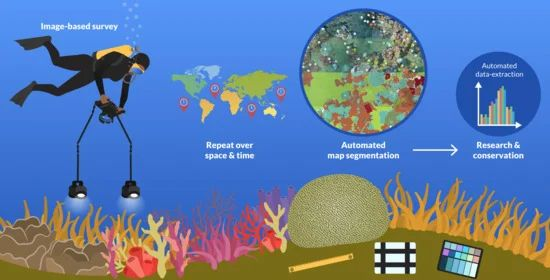 Remote Sensing MDPI tweet media