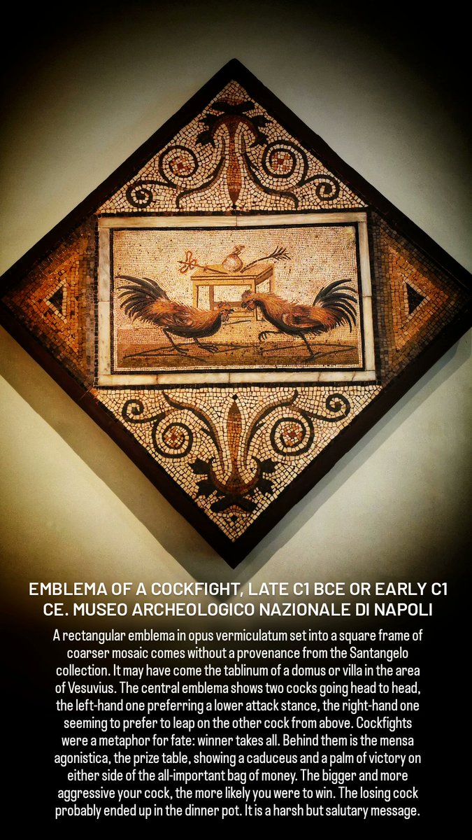 Get your cock out and let's compete! For #MosaicMonday we're in #Naples where, as we can clearly see in this #mosaic #emblema, cock size was one indicator of probable victory, but tactics and aggression could also make your cock a prize winner.