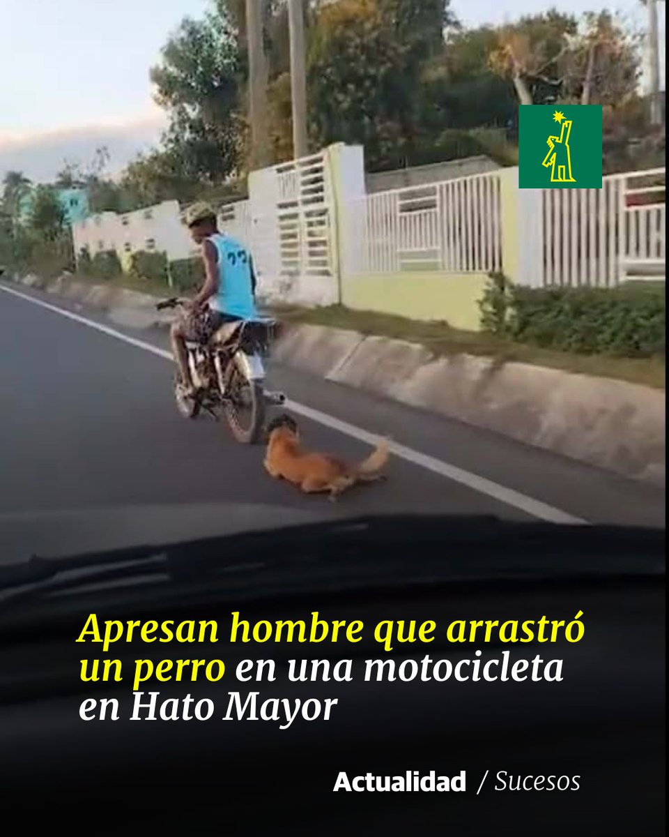 🚨 |#SucesosDL| La Policía Nacional apresó a un hombre que fue capturado en cámaras arrastrando un perro en una motocicleta por la carretera Sabana de la Mar-Hato Mayor. 

buff.ly/3VMX3X1

#DiarioLibre #MaltratoAnimal #HatoMayor
