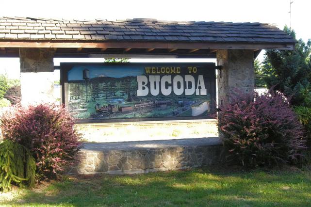 It's #MainStreetMonday! From its founding in the 1800s to the boom and bust of local industries, the Town of Bucoda in rural Thurston County is a story of resilience and reinvention. bucoda.us #SmallTownHistory