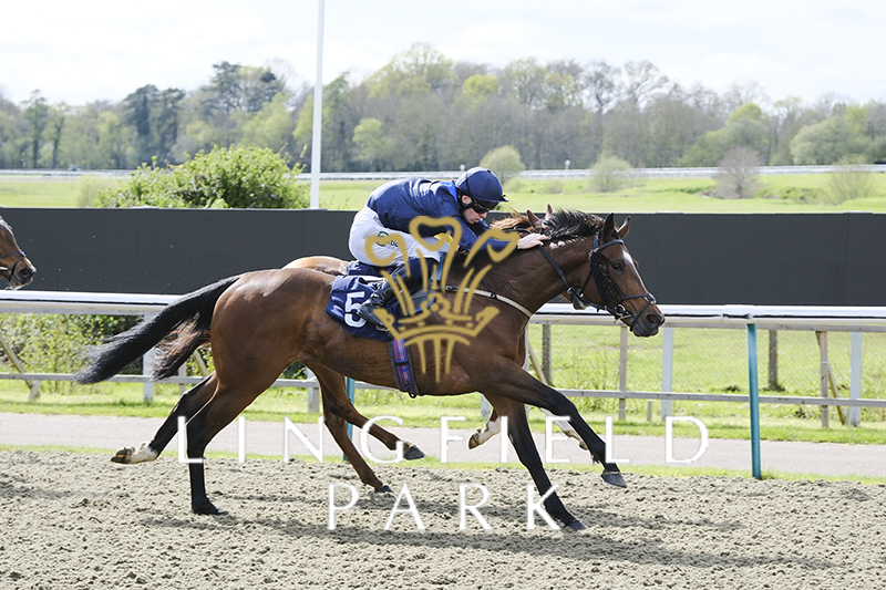 RACE 3 RESULT - At The Races App Form Study Handicap 🏆 Publicity Jockey: @PBradley24 Trainer: @jbutlerracing Owner: Mr Kevin Quinn