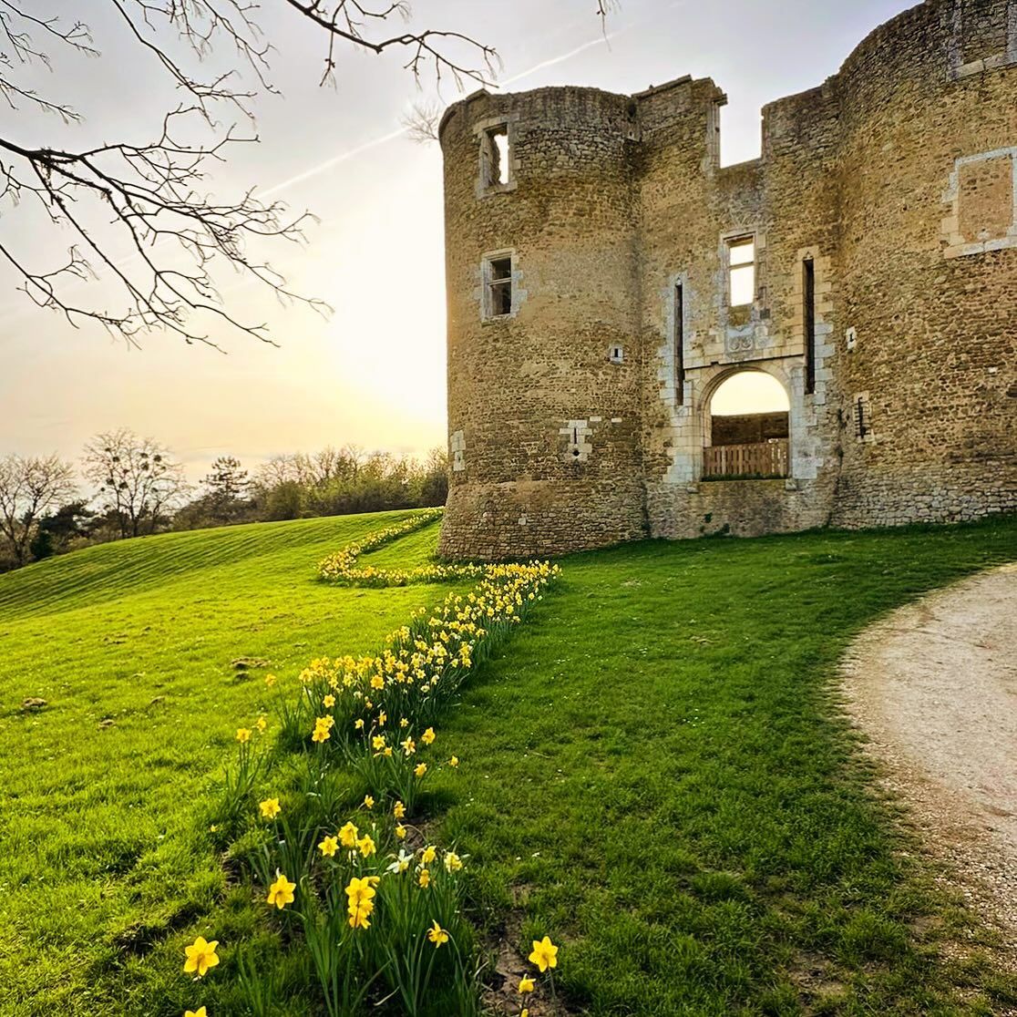 Le printemps a pointé le bout de son nez à Levroux 🌼. Les Tours du château sont le seul vestige qu'il en reste. Êtes-vous déjà passé par Levroux ? Crédits 📸 : @levroux36 sur Instagram