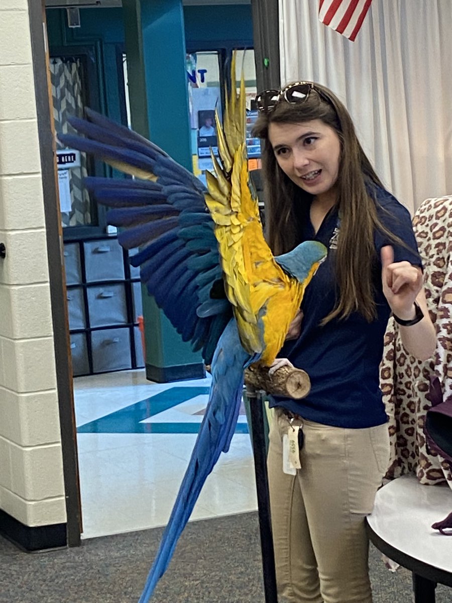 JillEltiste's tweet photo. Learning about animal adaptations from the @KansasCityZoo mobile @ShoalCreekStars #sharethegoodlps #scstars https://t.co/N39vGSW8TB