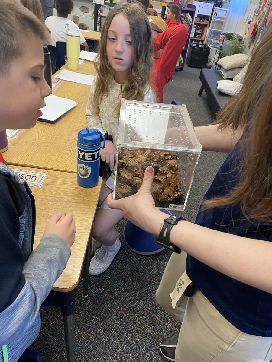 JillEltiste's tweet photo. Learning about animal adaptations from the @KansasCityZoo mobile @ShoalCreekStars #sharethegoodlps #scstars https://t.co/N39vGSW8TB