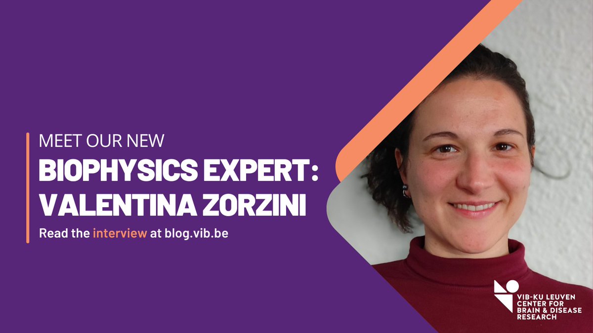 👋 Welcome Valentina Zorzini, the new Biophysics Expert at <a href="/VIB_Switch_Lab/">Switch Lab</a> × <a href="/CBD_VIB/">VIB-KU Leuven Center for Brain & Disease Research</a>! We caught up with Valentina during these busy times to get to know her. Read the interview ➡️ blog.vib.be/meet-valentina…