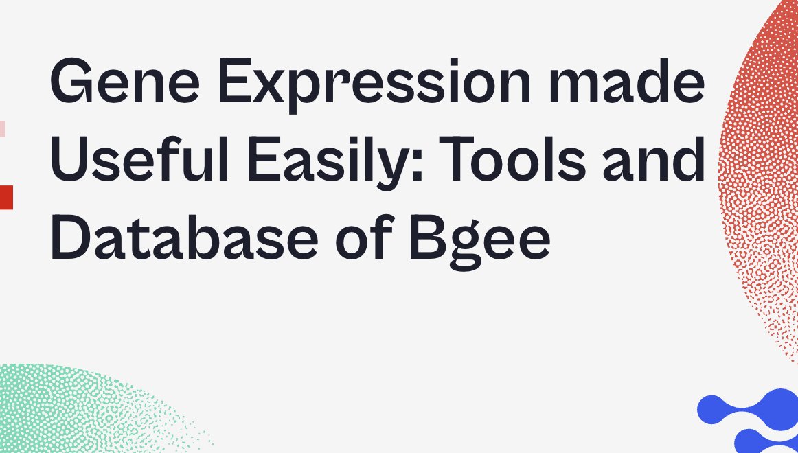 We are excited to announce a new training course on Bgee 🧬
Course: Gene Expression made Useful Easily: Tools and Database of Bgee
Date: Friday 31 May 2024
Taught by: the Bgee team (Frédéric Bastian and Marc Robinson-Rechavi)
Apply at: sib.swiss/training/cours…