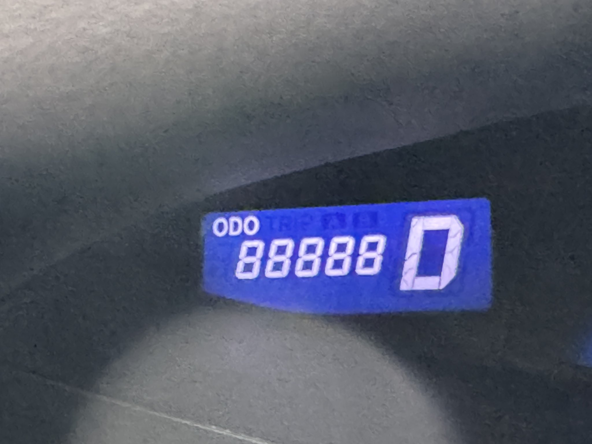 88888km - Search / X