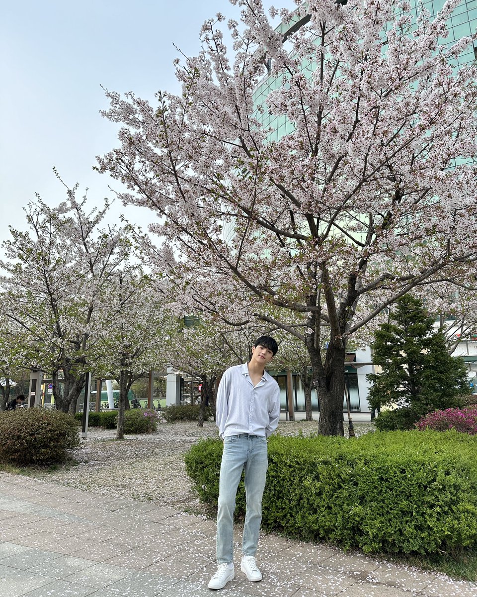 woooojinn's tweet photo. [#우진] 🌸 https://t.co/C5CXHhdKgc