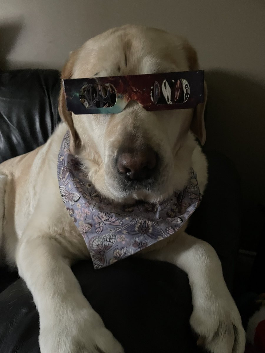 Happy Monday friends 🥰. I’m ready for the Eclipse 👓. Hope everyone has a great day 🥰. PS: Me and Mom will be staying inside. #dogsoftwitter