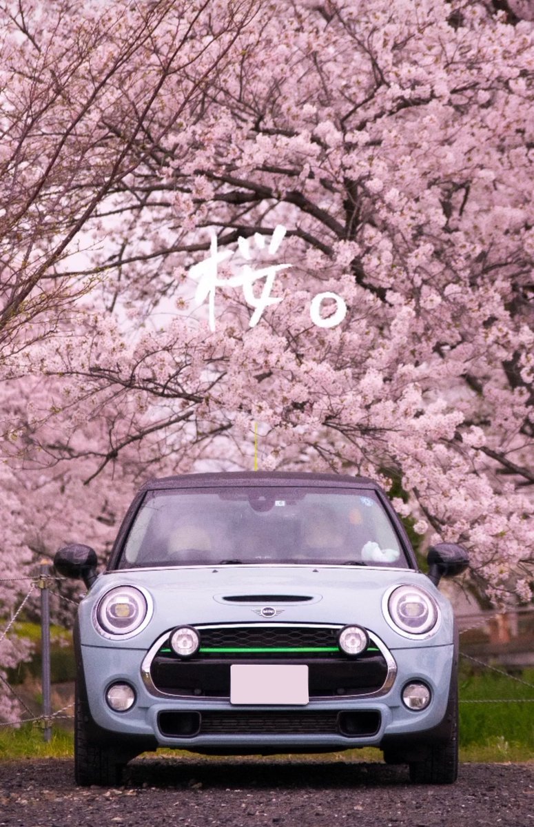 桜。

とMINI

 #mini  #minicooper  #mini乗りさんと繋がりたい  #miniのある生活 #f55  #iceblueblackedition