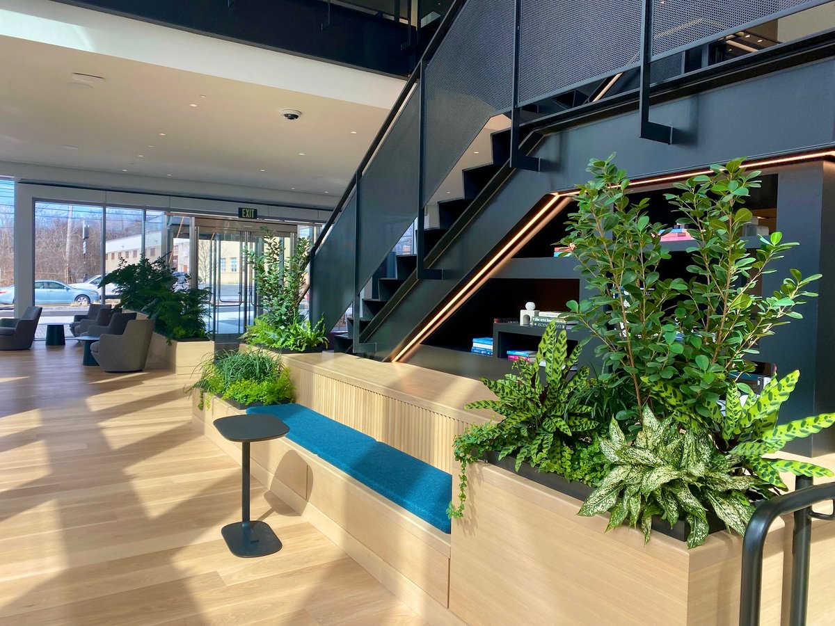 Transforming spaces with the magic of greenery: Embracing biophilic design to illuminate every corner with nature's vibrant touch. 🌿✨ #Cityscapes #BiophilicDesign #Biophilia #InteriorPlants #Boston #VisitBoston #GreenSpaces #VerticalSpace #BringNatureIndoors #InteriorDesign