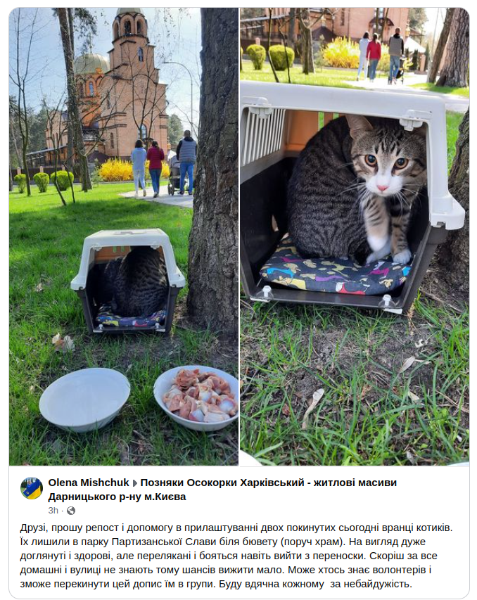 2 cats was thrown way near the church in Kyiv, Ukraine and nobody helped. That all what you need know about religion and people who believe in god. Only hypocrisy and nothing else.