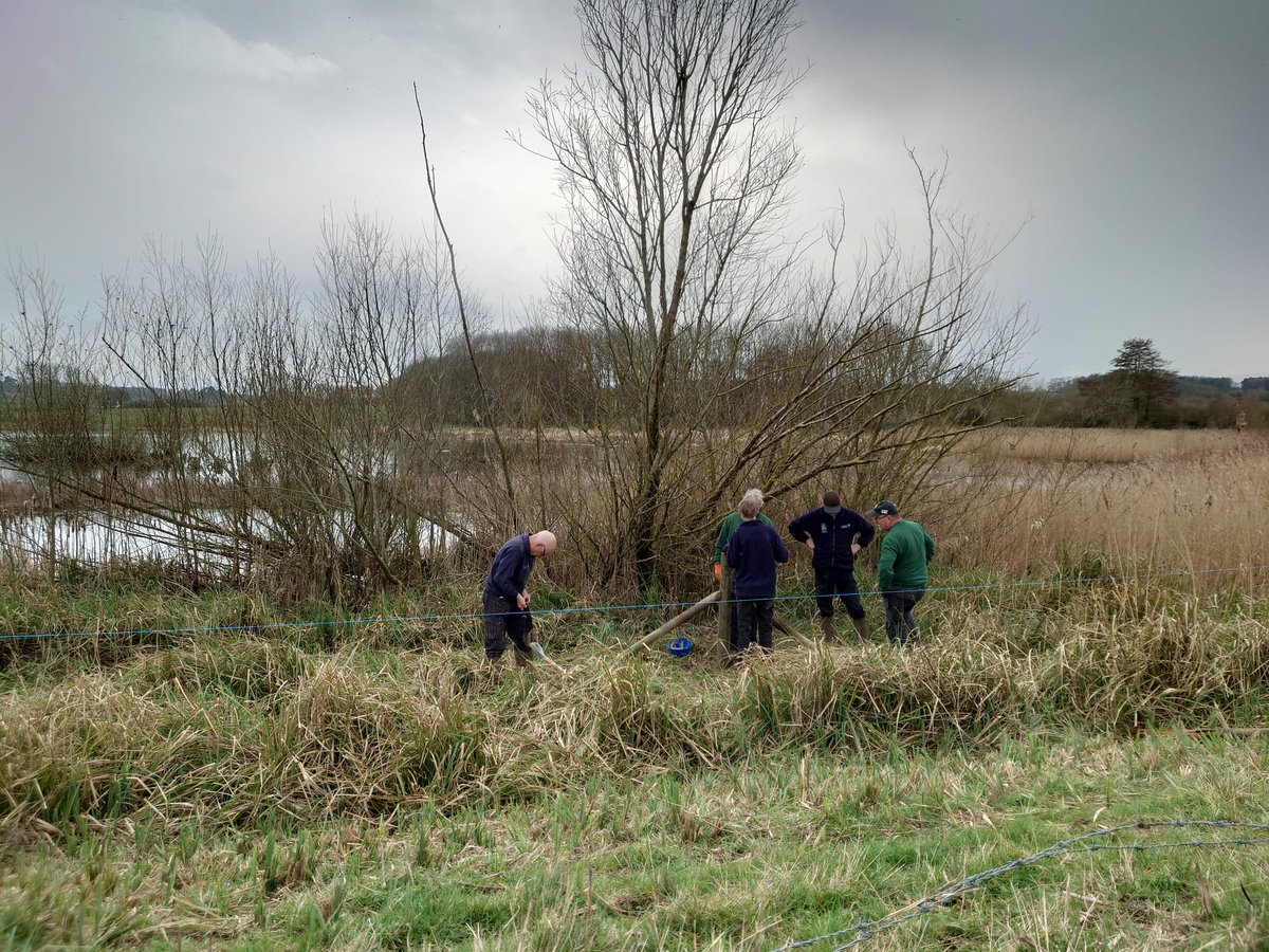 Some of our amazing volunteers replacing a rotten fence line at the back of lagoon 8 to keep it stockproof. We thought it was only going to be a short section but the rotten posts just kept on coming! At least the view wasn't too bad... Come and see the amazing views for yourself