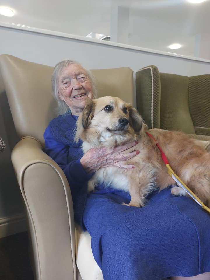 As it's National Pet Month, it gives the perfect opportunity to highlight the benefits of having visiting pets in our Quantum Care communities. Here you can see the special bond between residents of Jubilee Court in Stevenage and Cleo, the Pets as Therapy dog. #QuantumCare