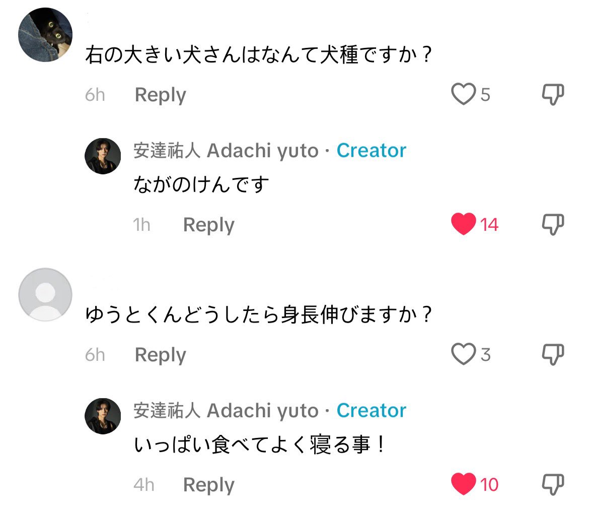 👤 What’s the breed of the big dog on the right?
🐺 It’s Nagano-ken

👤 Yuto-kun, how can I grow taller?
🐺 Eat a lot & sleep well!

😂😂😂

#安達祐人 #ADACHI_YUTO
#아다치유토 @AYUTO_official
