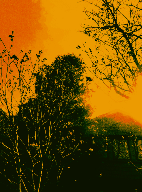 For #napowrimo #NationalPoetryMonth An Ice Floe Press announcement! 
We are the true underground bubbling up from between the margins, marginal warriors of the poetry streets!  We are all about stark and beautiful hallucinatory symphonic writing with the arc of a musical score.