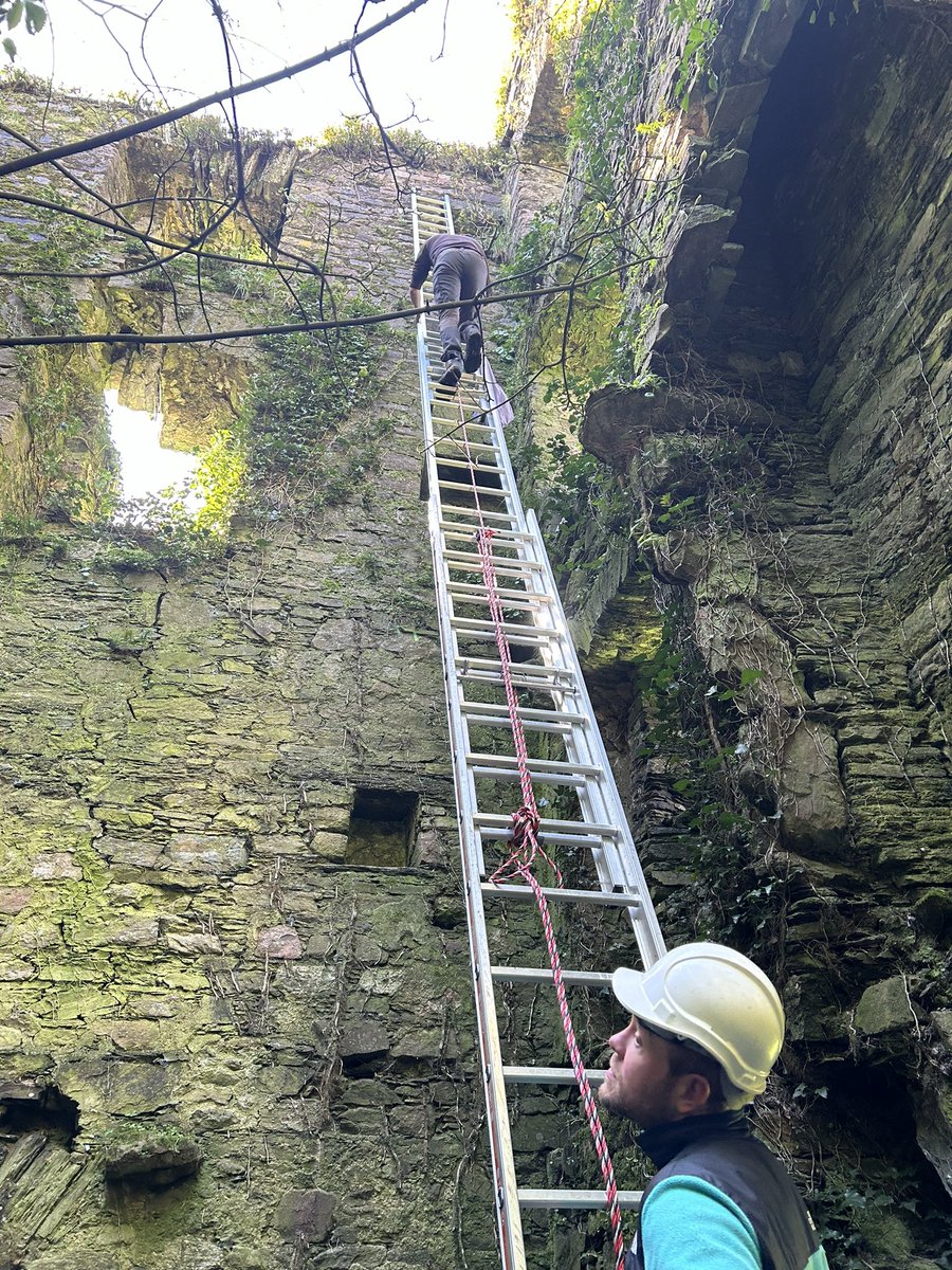 Sam Bayley (@sambayley2) on Twitter photo A decent gap in bad weather yesterday meant the team could get out and ring another Raven nest in an abandoned towerhouse. The biggest brood of the year so far with 4 chicks. At over 1kg each they are the biggest passerine in the world <a href="/_BTO/">BTO</a> <a href="/NPWSIreland/">National Parks and Wildlife Service</a> <a href="/BirdWatchIE/">BirdWatch Ireland</a> <a href="/_EURING/">EURING</a> A decent gap in bad weather yesterday meant the team could get out and ring another Raven nest in an abandoned towerhouse. The biggest brood of the year so far with 4 chicks. At over 1kg each they are the biggest passerine in the world <a href="/_BTO/">BTO</a> <a href="/NPWSIreland/">National Parks and Wildlife Service</a> <a href="/BirdWatchIE/">BirdWatch Ireland</a> <a href="/_EURING/">EURING</a>