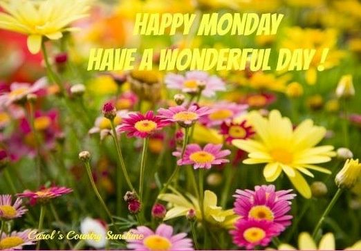 Happy Monday! You are a magnet for success! 🌞

#happymonday #monday #spring #flowers #wonderfulday #magnetforsuccess #positivelysunshine