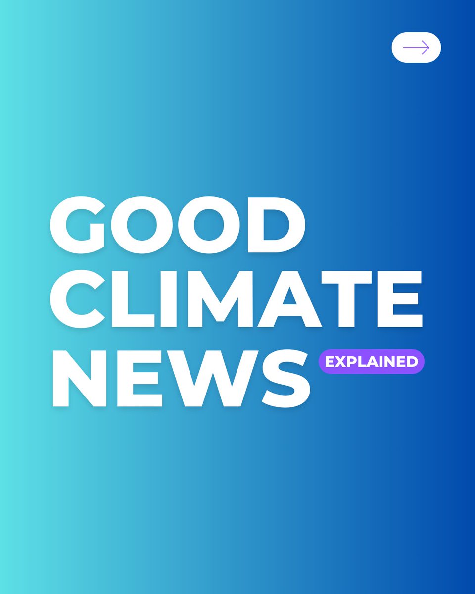 Get your weekly dose of uplifting climate news! 🌍✨

From strides in clean energy to a rise in honeybee populations, let's cheer for progress toward a greener future. Which story speaks to you the most? Share your thoughts in the comments! 👇

#GoodClimateNews #PositiveNews