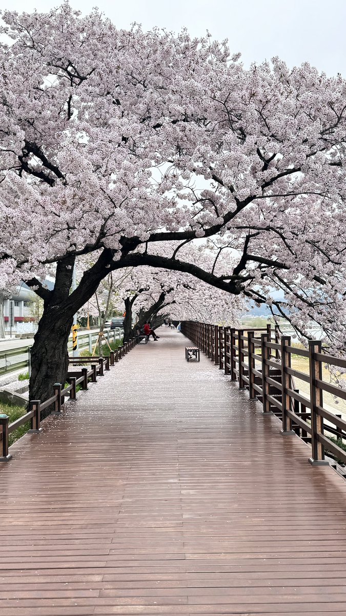 5박6일 동안의 유일한 힐링..