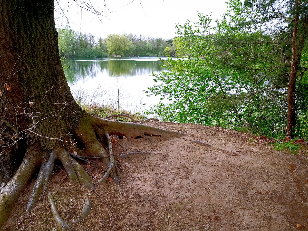 Blick auf den bei #Weiterstadt gelegenen Kleewoog. 🌿💙🌿 Seine Umgebung lädt zu schönen Spaziergängen und Radtouren in der Natur ein. #naturelovers