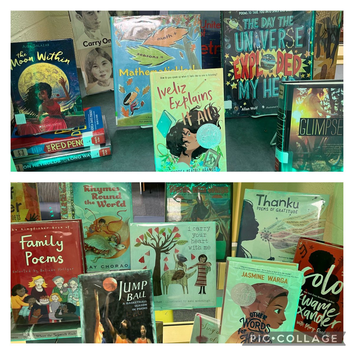 Tara Sanz tweet media