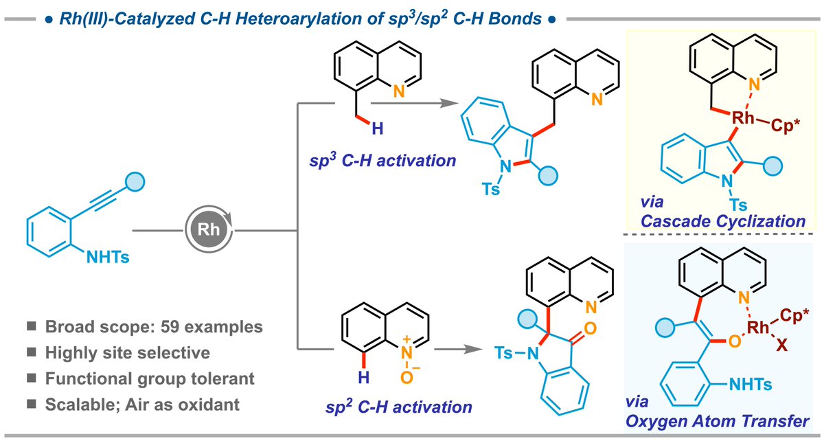 Delighted to share our recent work on Rh(III)-catalyzed C-H heteroarylations of quinoline derivatives in @ChemicalScience. Congratulations to @Atul25337594 and @Rahulku23800309. Wonderful job by both of them. pubs.rsc.org/en/content/art…