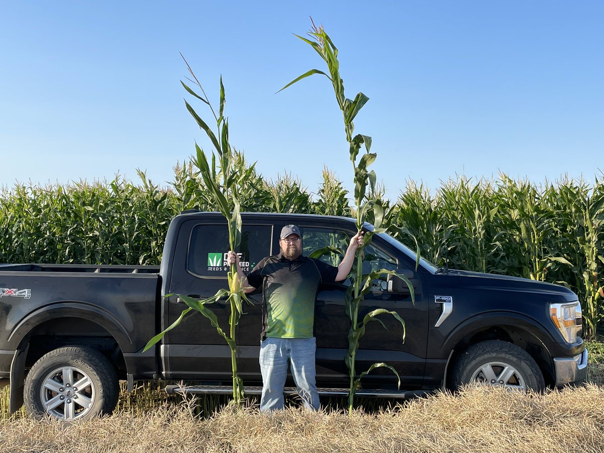 Shane Terry tweet media