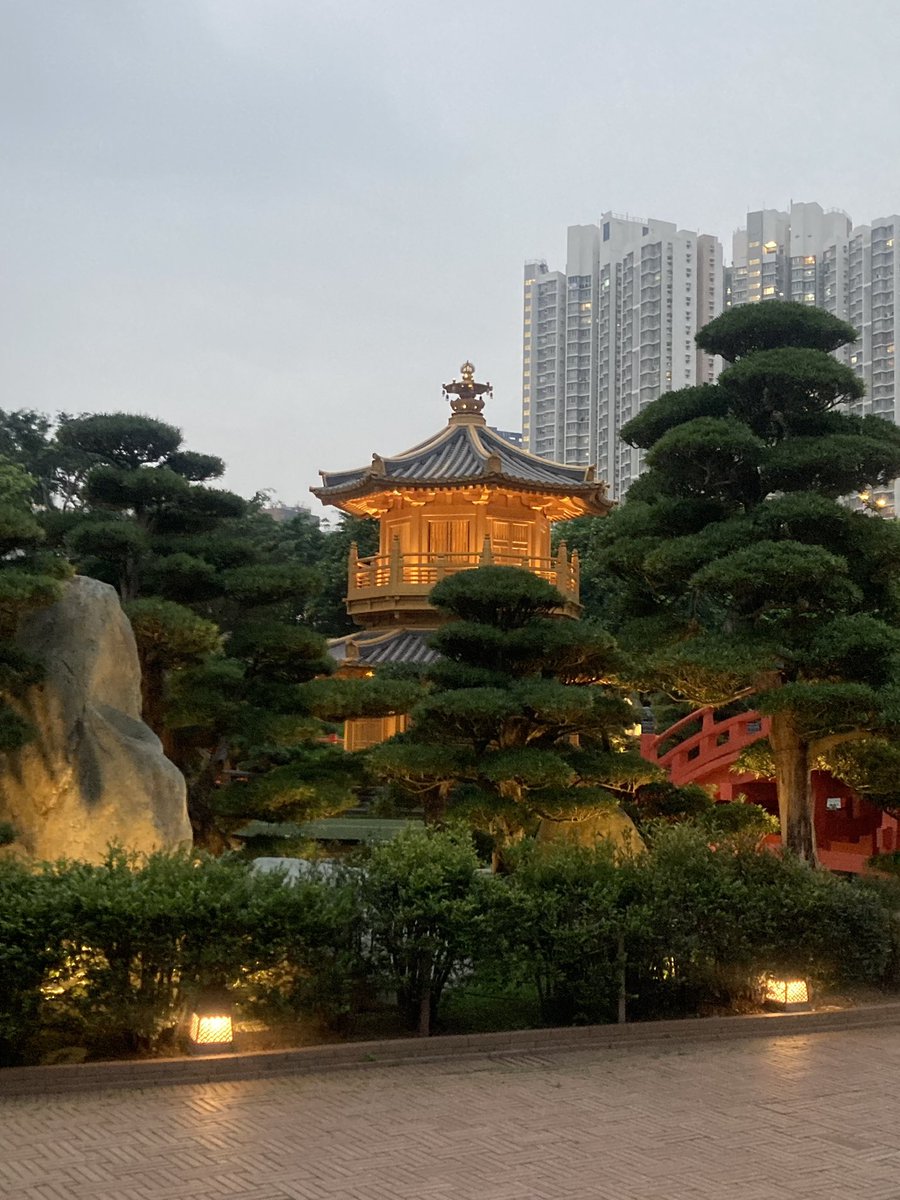 Thank you to the #Lovingsmiles special care organisation for inviting @YvoRooney and I to Hong Kong to share learning on oral health care for older people. We met an inspiring team working to meet the needs of people with dementia & Parkinson’s disease @Gerodontology