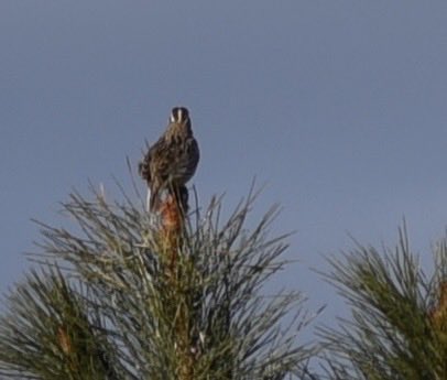 O'teach John tweet media